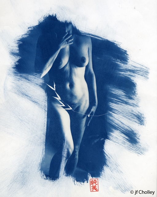 cyanotype nus au végétal.jpg - CYA